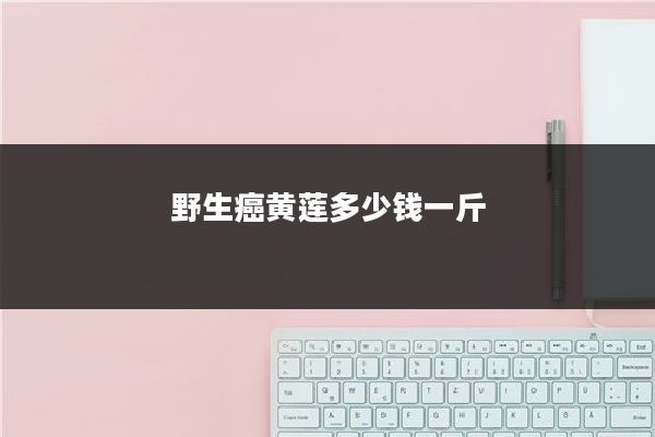 野生癌黄莲多少钱一斤