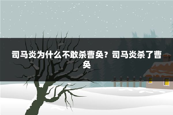 司马炎为什么不敢杀曹奂?司马炎杀了曹奂