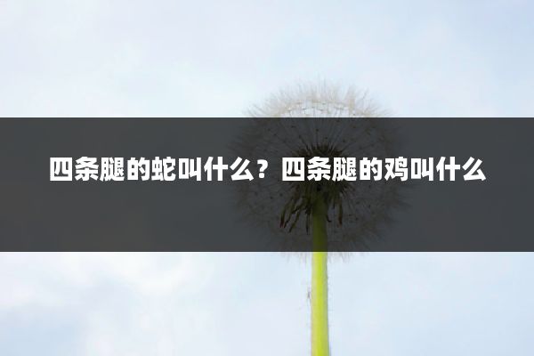 四条腿的蛇叫什么?四条腿的鸡叫什么