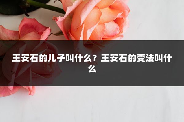 王安石的儿子叫什么?王安石的变法叫什么