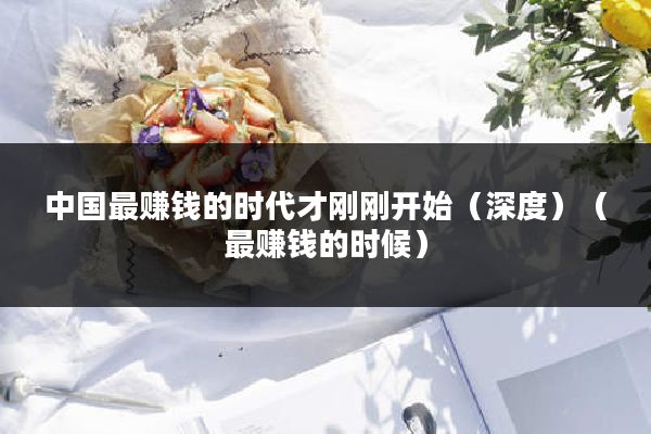 中国最赚钱的时代才刚刚开始（深度）（最赚钱的时候）
