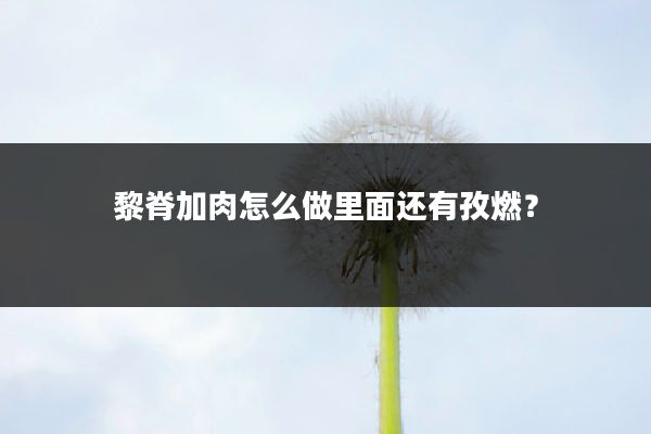黎脊加肉怎么做里面还有孜燃?