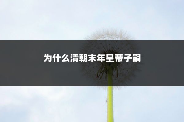 为什么清朝末年皇帝子嗣