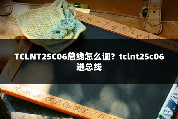 TCLNT25C06总线怎么调？tclnt25c06进总线