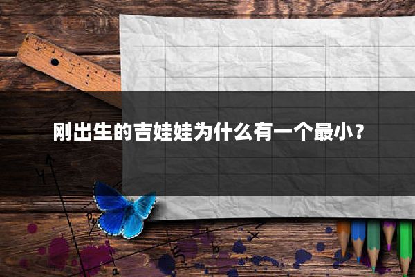 刚出生的吉娃娃为什么有一个最小？