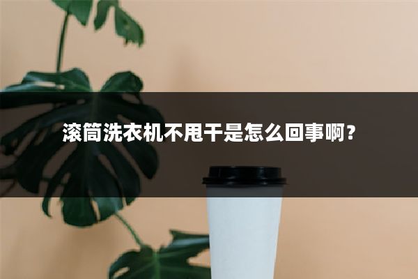 滚筒洗衣机不甩干是怎么回事啊？