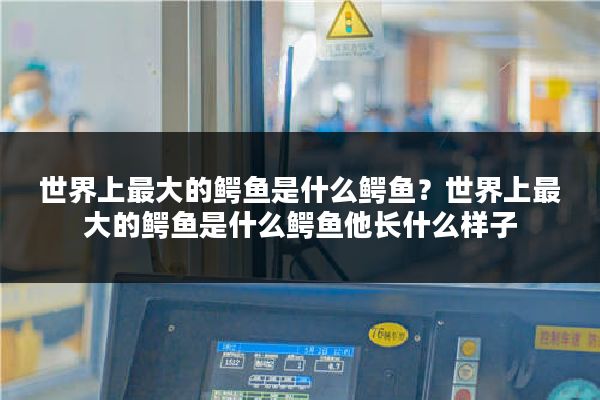 世界上最大的鳄鱼是什么鳄鱼？世界上最大的鳄鱼是什么鳄鱼他长什么样子