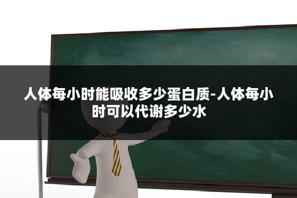 人体每小时能吸收多少蛋白质-人体每小时可以代谢多少水