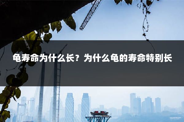 龟寿命为什么长？为什么龟的寿命特别长