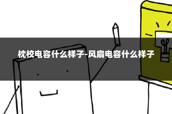 枕校电容什么样子-风扇电容什么样子