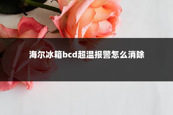 海尔冰箱bcd超温报警怎么消除