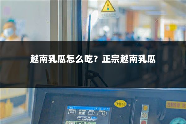 越南乳瓜怎么吃?正宗越南乳瓜