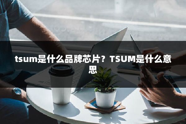 tsum是什么品牌芯片?TSUM是什么意思