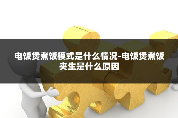电饭煲煮饭模式是什么情况-电饭煲煮饭夹生是什么原因