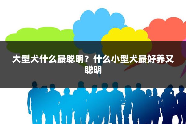 大型犬什么最聪明?什么小型犬最好养又聪明