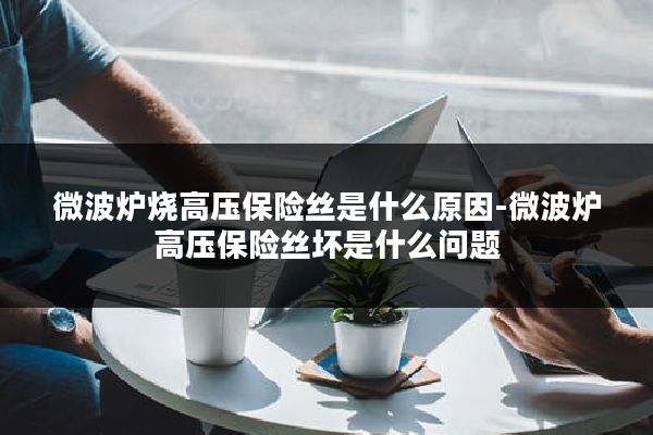 微波炉烧高压保险丝是什么原因-微波炉高压保险丝坏是什么问题