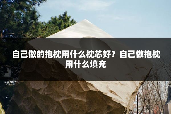 自己做的抱枕用什么枕芯好?自己做抱枕用什么填充