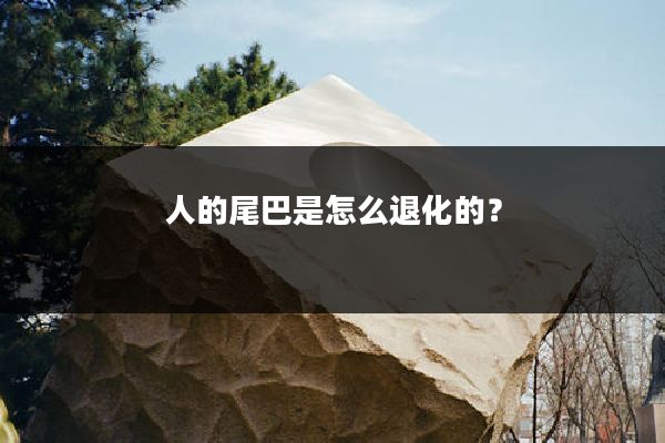 人的尾巴是怎么退化的?