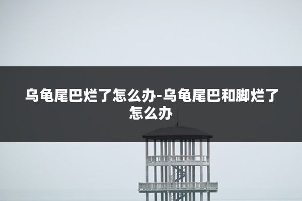 乌龟尾巴烂了怎么办-乌龟尾巴和脚烂了怎么办