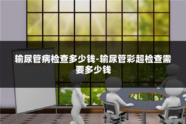 输尿管病检查多少钱-输尿管彩超检查需要多少钱