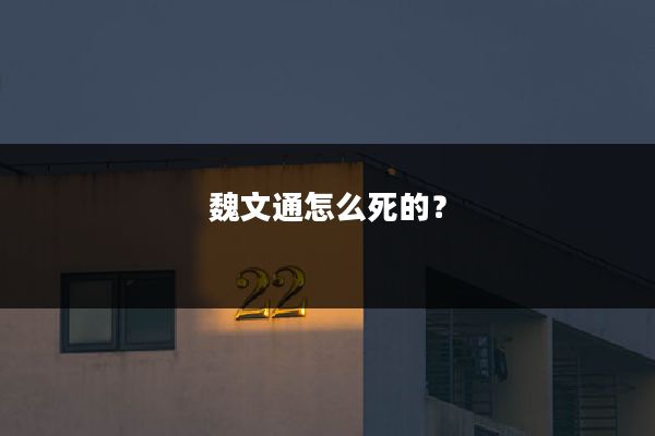 魏文通怎么死的?