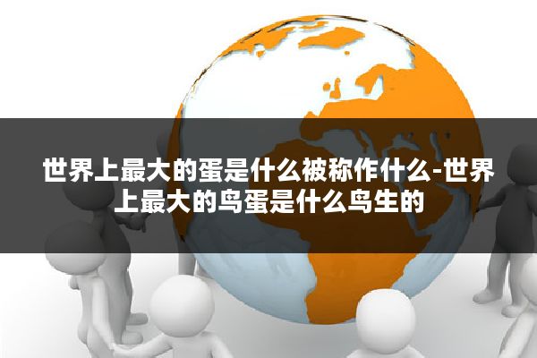 世界上最大的蛋是什么被称作什么-世界上最大的鸟蛋是什么鸟生的