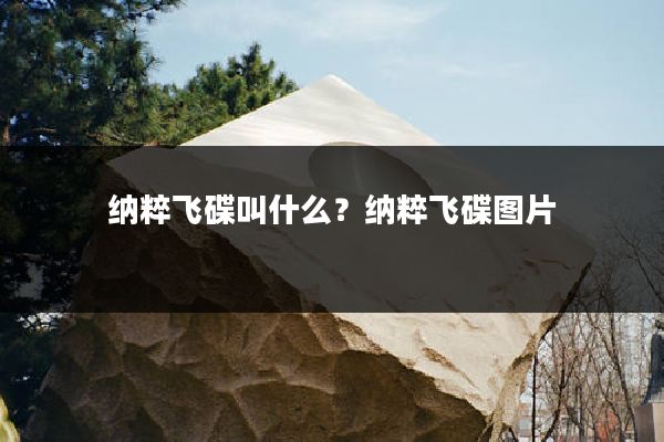 纳粹飞碟叫什么?纳粹飞碟图片