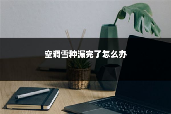 空调雪种漏完了怎么办