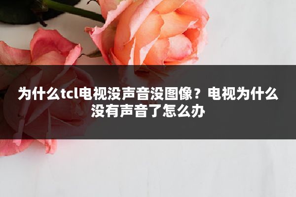 为什么tcl电视没声音没图像?电视为什么没有声音了怎么办