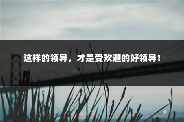 这样的领导，才是受欢迎的好领导！