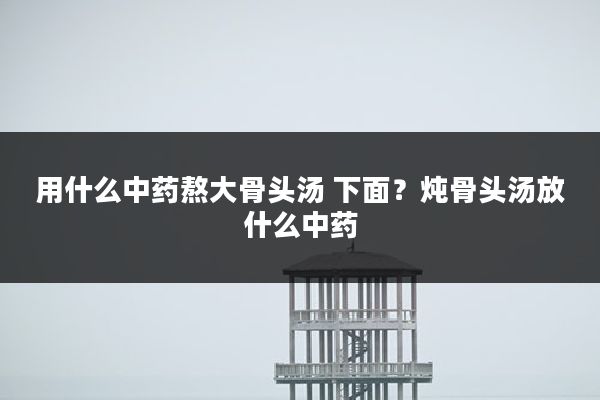 用什么中药熬大骨头汤 下面？炖骨头汤放什么中药