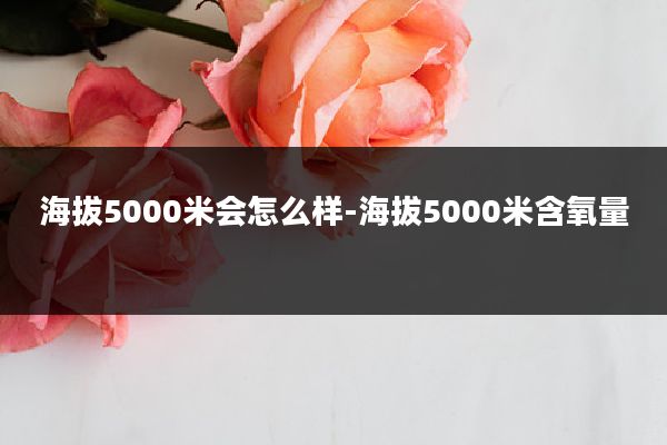 海拔5000米会怎么样-海拔5000米含氧量