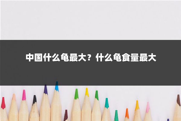 中国什么龟最大？什么龟食量最大