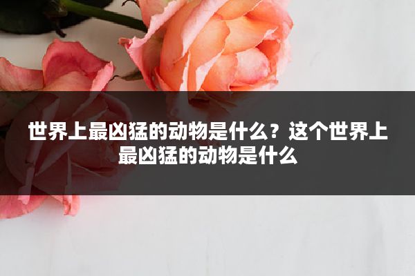 世界上最凶猛的动物是什么?这个世界上最凶猛的动物是什么