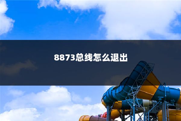 8873总线怎么退出