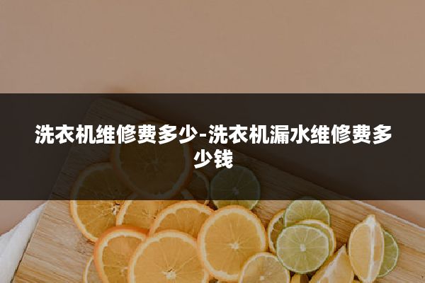 洗衣机维修费多少-洗衣机漏水维修费多少钱