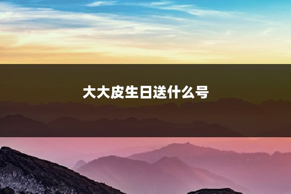 大大皮生日送什么号