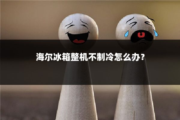 海尔冰箱整机不制冷怎么办?