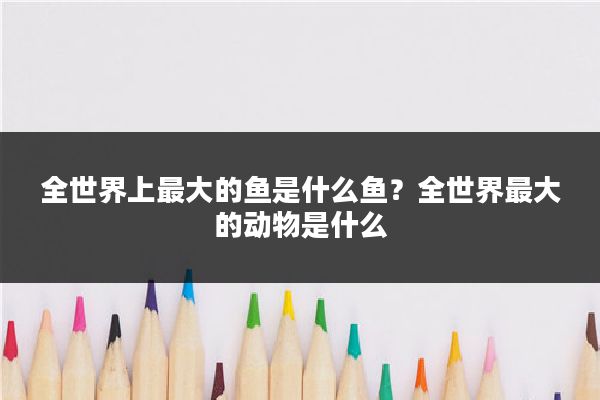 全世界上最大的鱼是什么鱼?全世界最大的动物是什么