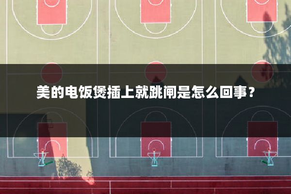 美的电饭煲插上就跳闸是怎么回事?