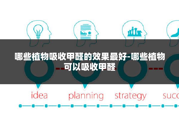 哪些植物吸收甲醛的效果最好-哪些植物可以吸收甲醛