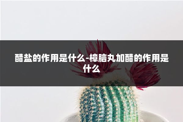 醋盐的作用是什么-樟脑丸加醋的作用是什么