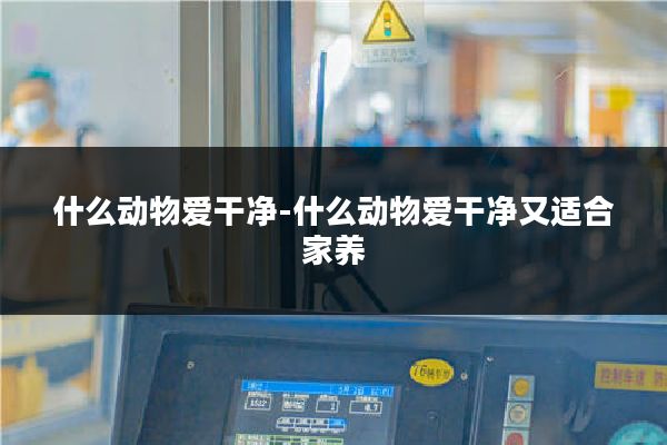 什么动物爱干净-什么动物爱干净又适合家养