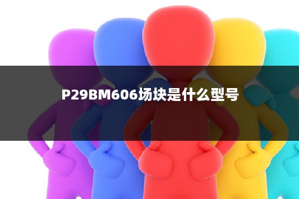 P29BM606场块是什么型号