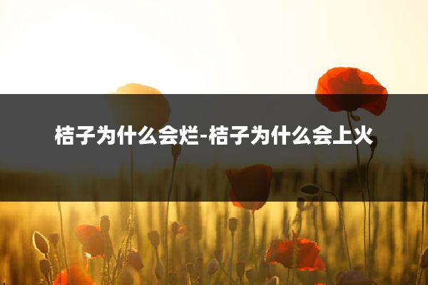 桔子为什么会烂-桔子为什么会上火