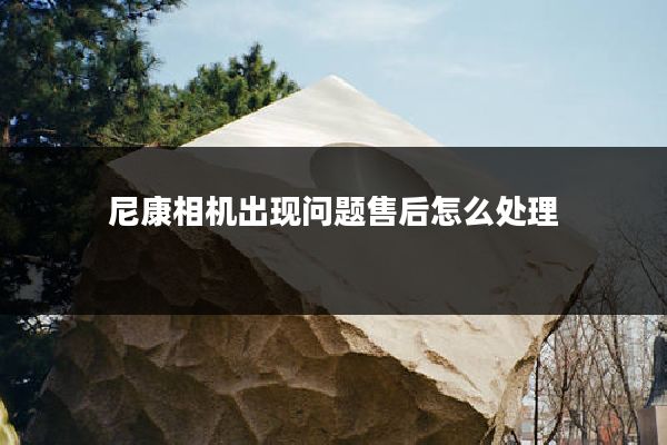 尼康相机出现问题售后怎么处理