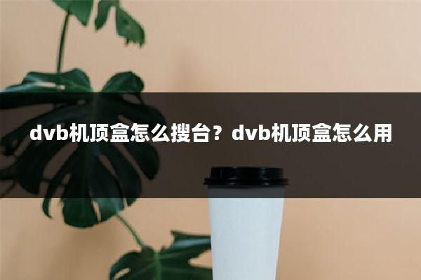 dvb机顶盒怎么搜台？dvb机顶盒怎么用