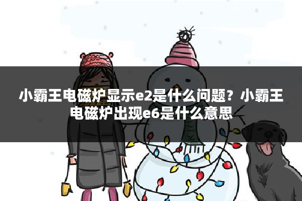 小霸王电磁炉显示e2是什么问题?小霸王电磁炉出现e6是什么意思