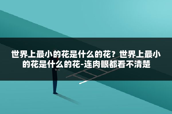 世界上最小的花是什么的花？世界上最小的花是什么的花-连肉眼都看不清楚