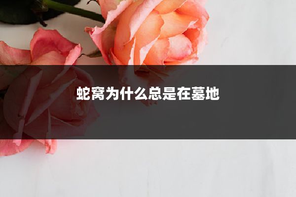 蛇窝为什么总是在墓地